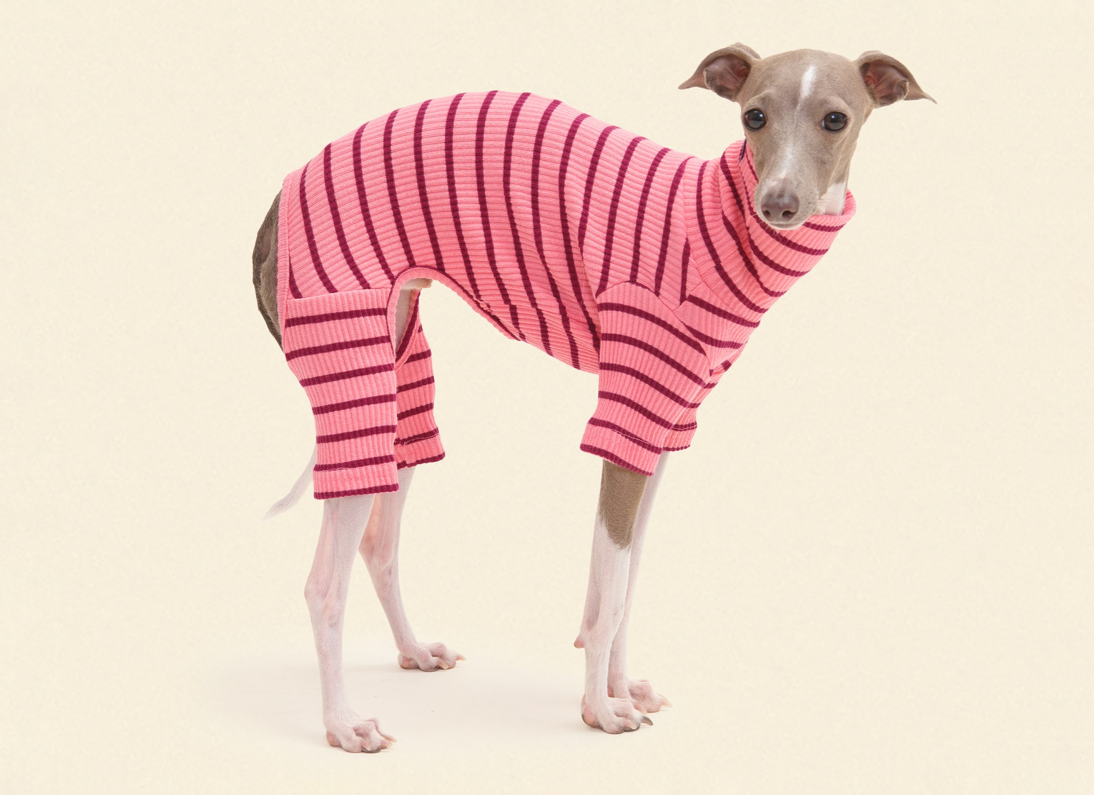 Dog Onesies – Little Beast