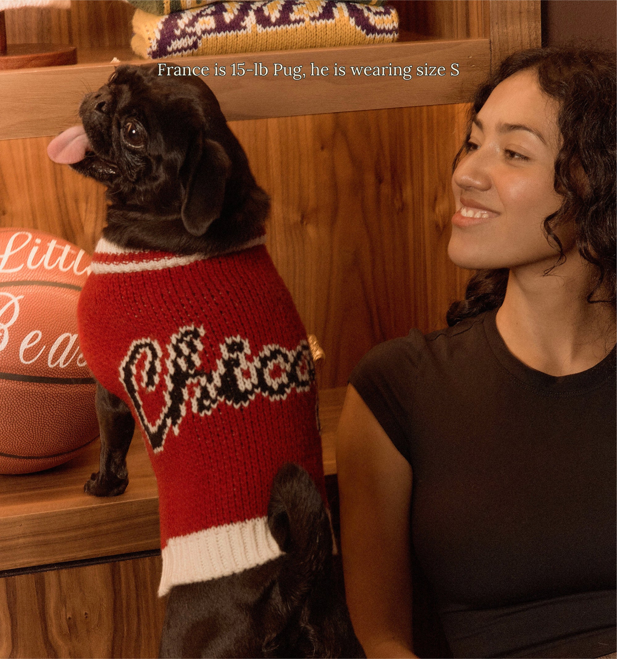 Little Beast Dog Sweater Chicago Bulls Dog Sweater - NBA