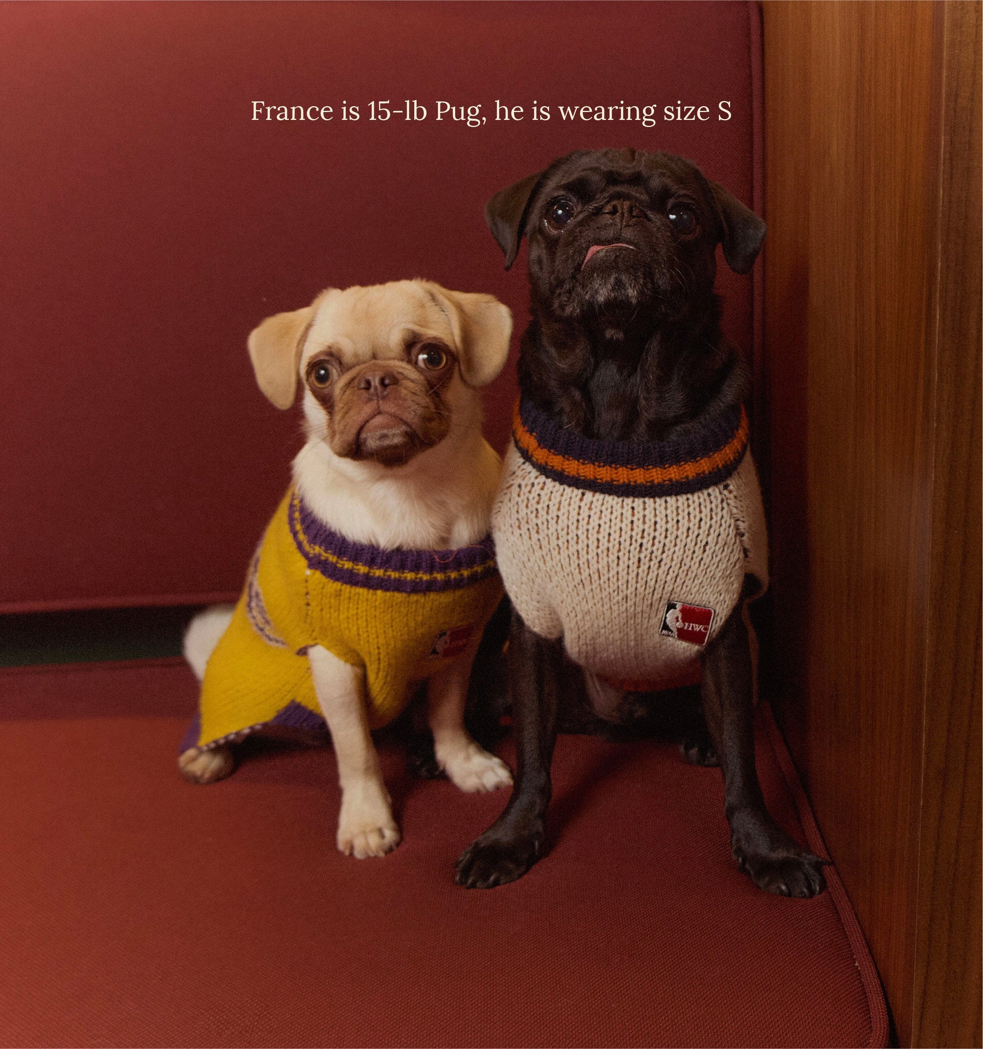 Little Beast Dog Sweater Los Angeles Lakers Dog Sweater - NBA