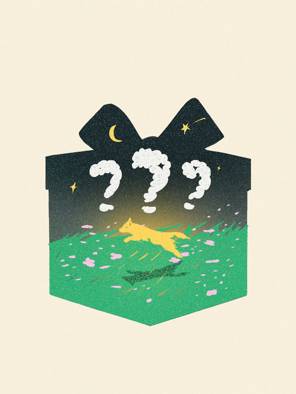 Mystery Box – Little Beast