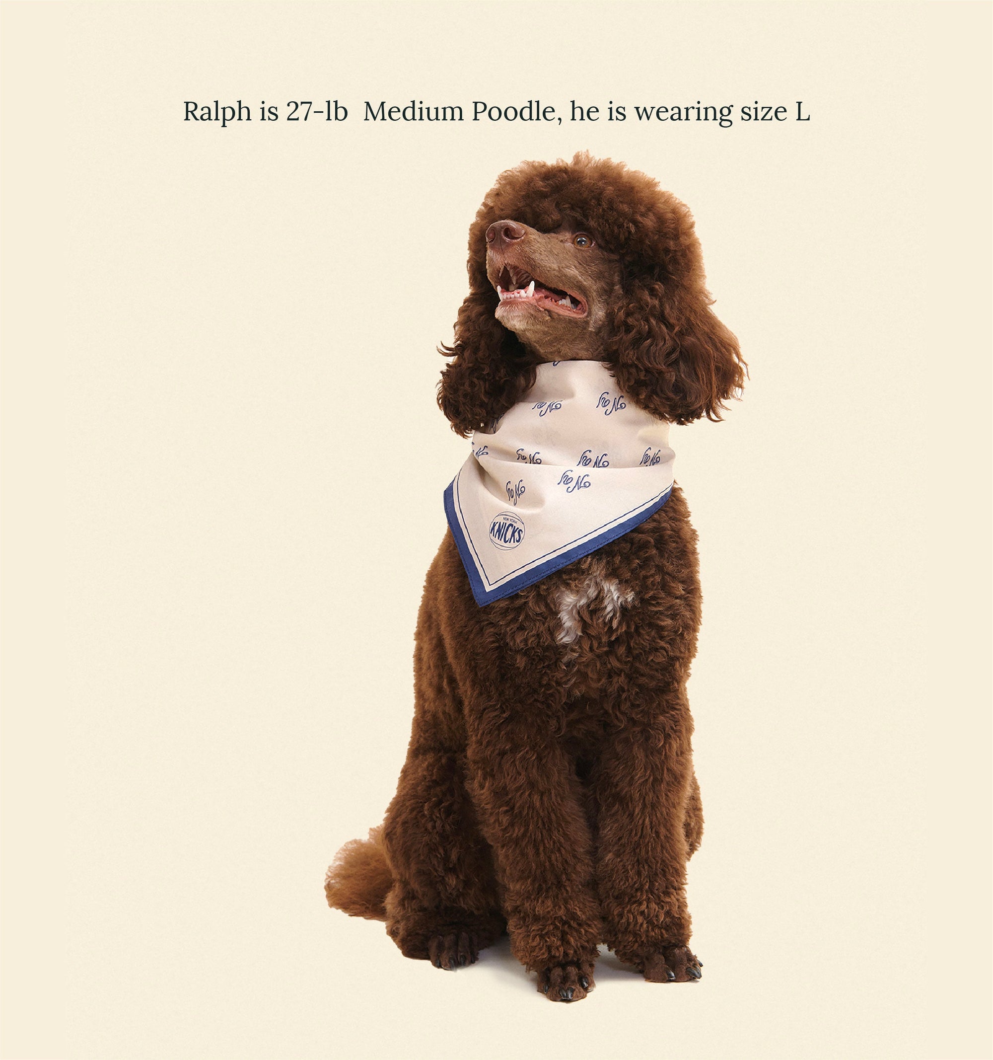 Little Beast Dog Bandana New York Knicks Bandana - NBA