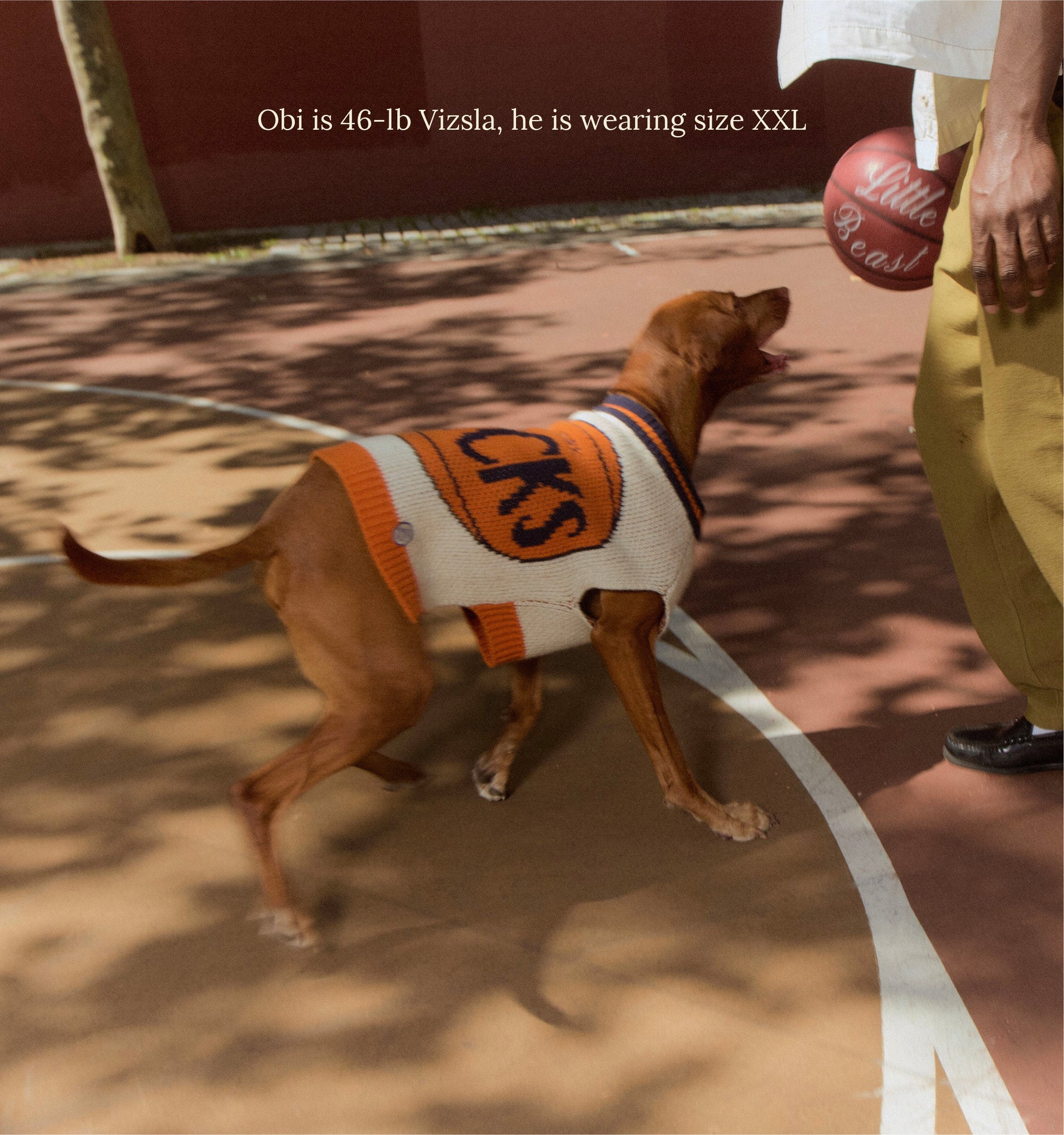 Little Beast Dog Sweater New York Knicks Dog Sweater - NBA