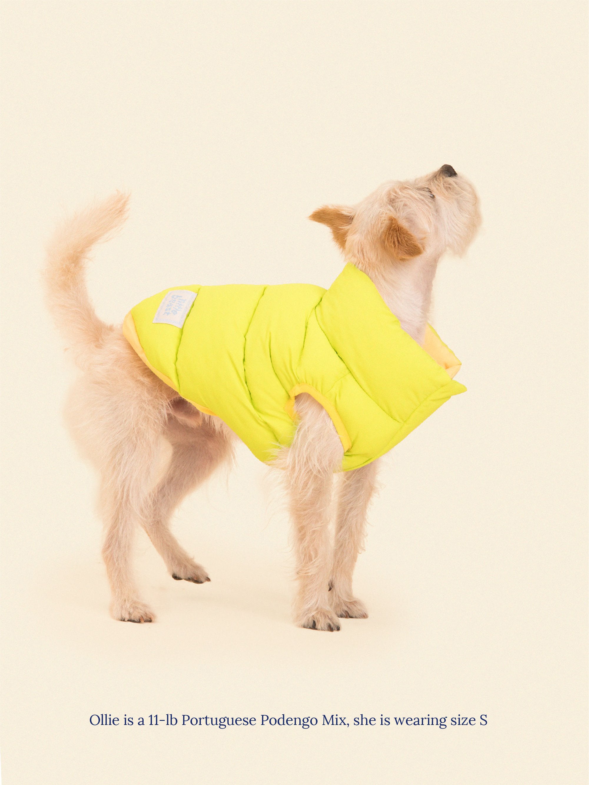 Los Angeles Chargers Pet Parka Puff Vest – Little Earth Productions