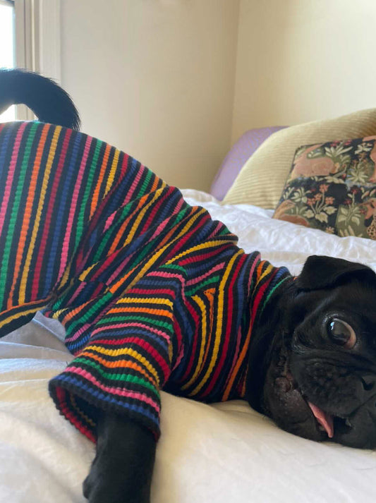 Gus
