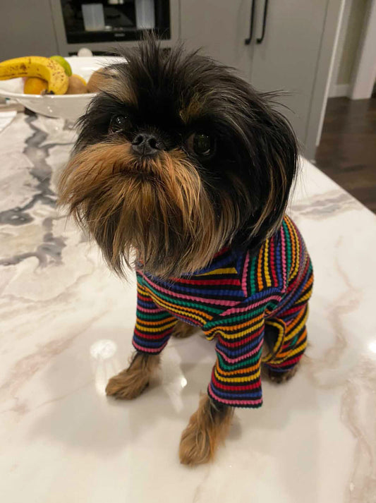 Gigi