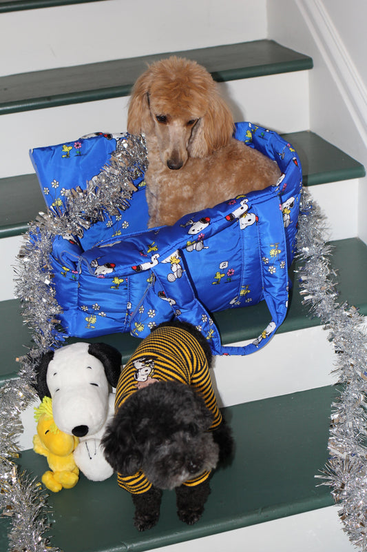 Little Beast x Peanuts 2024'