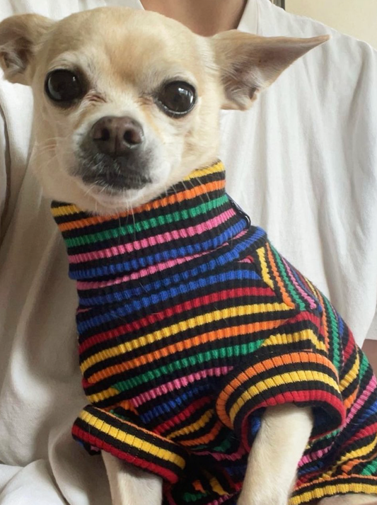 Tofu