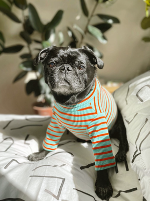 Finnegan McDuff