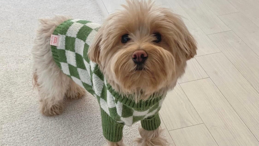 LITTLE BEAST X LISA SAYS GAH