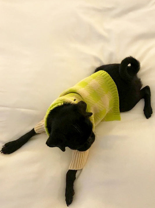Gus