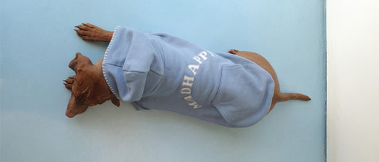 MadHappy x Little Beast