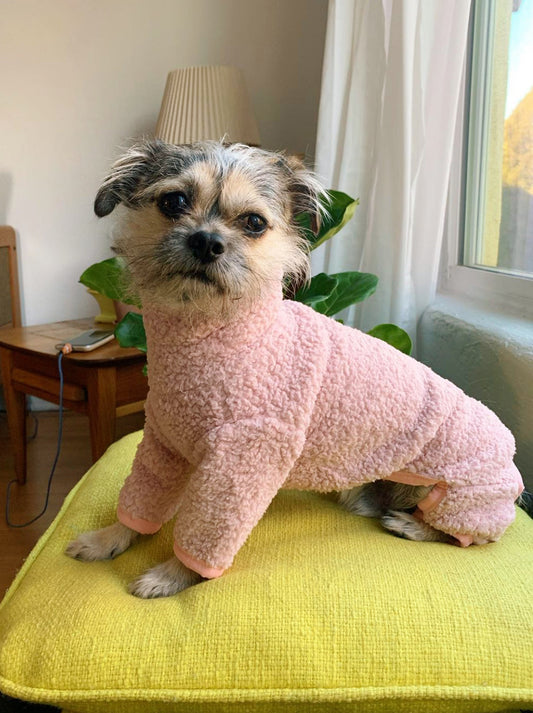 Odie