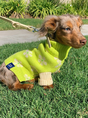 NOM Flower Power Sweater