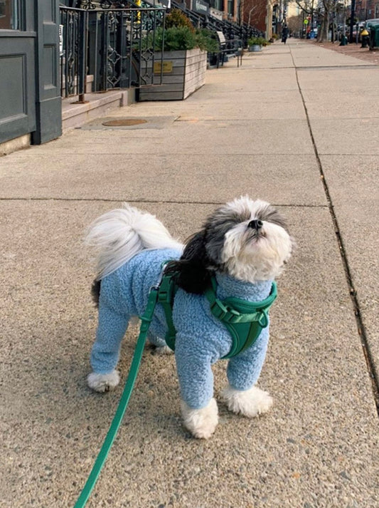Otis