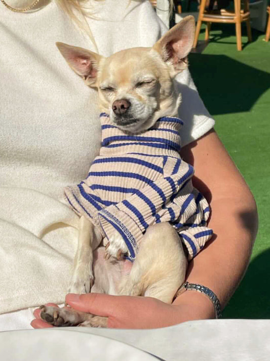 Tofu