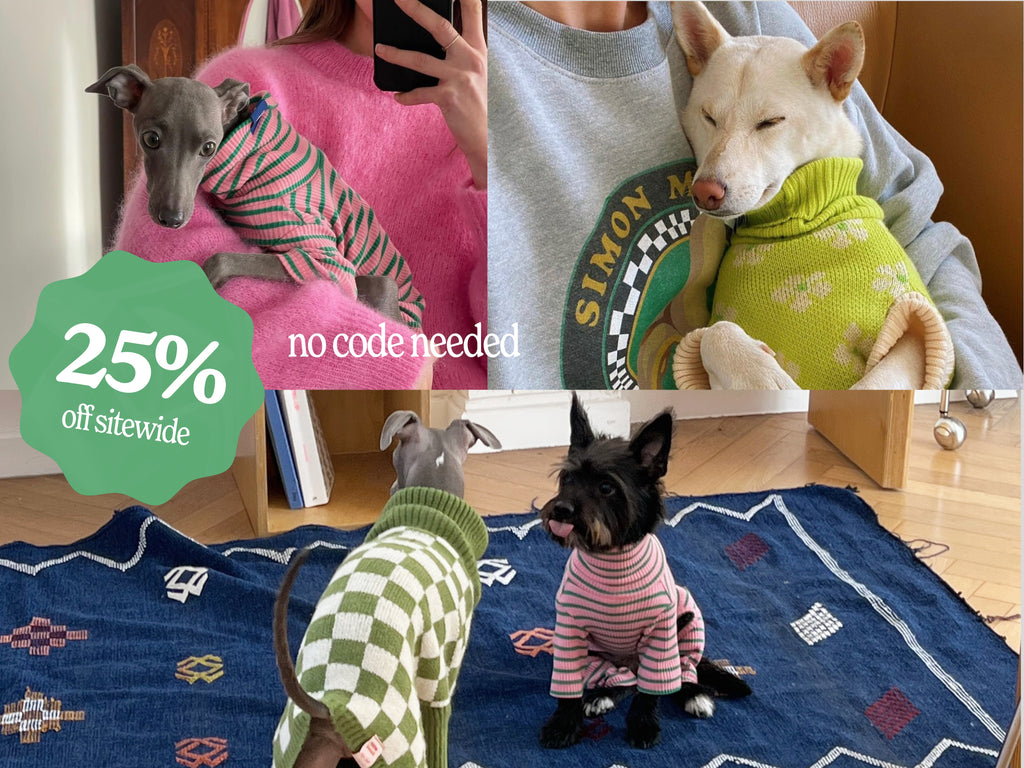 louis vuitton dog clothes Archives