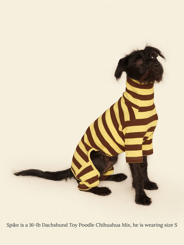 Dijon Onesie