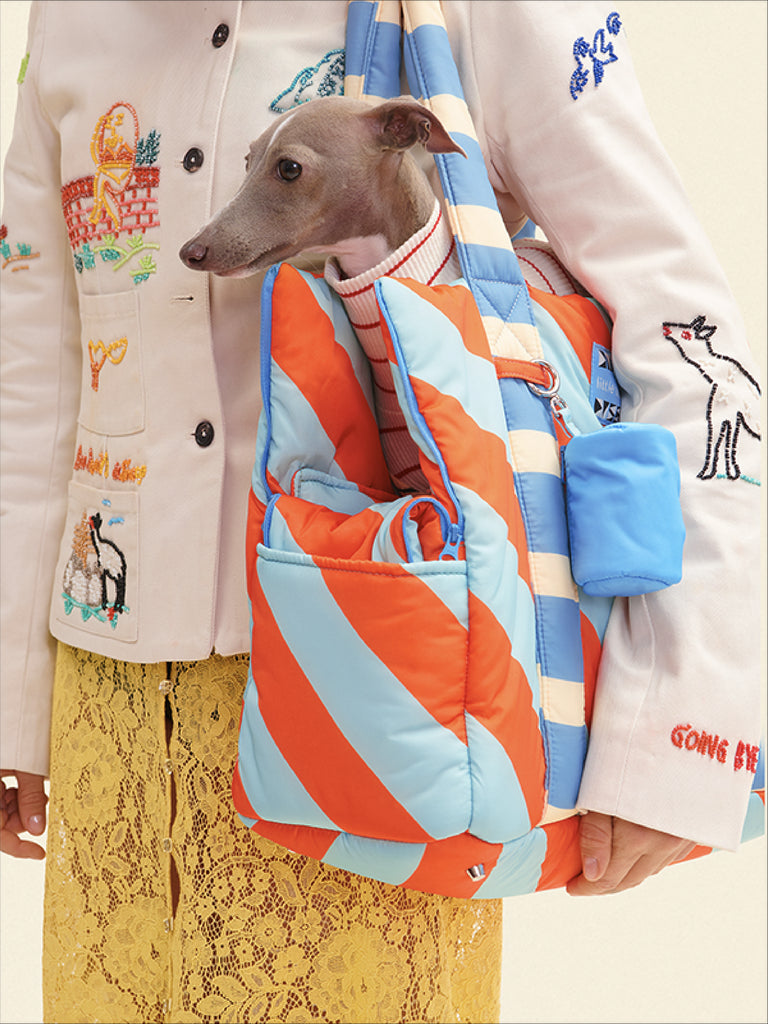 Evermark Factory Dog Carrier ONE SIZE The Orange Peel Carrier - Dusen Dusen