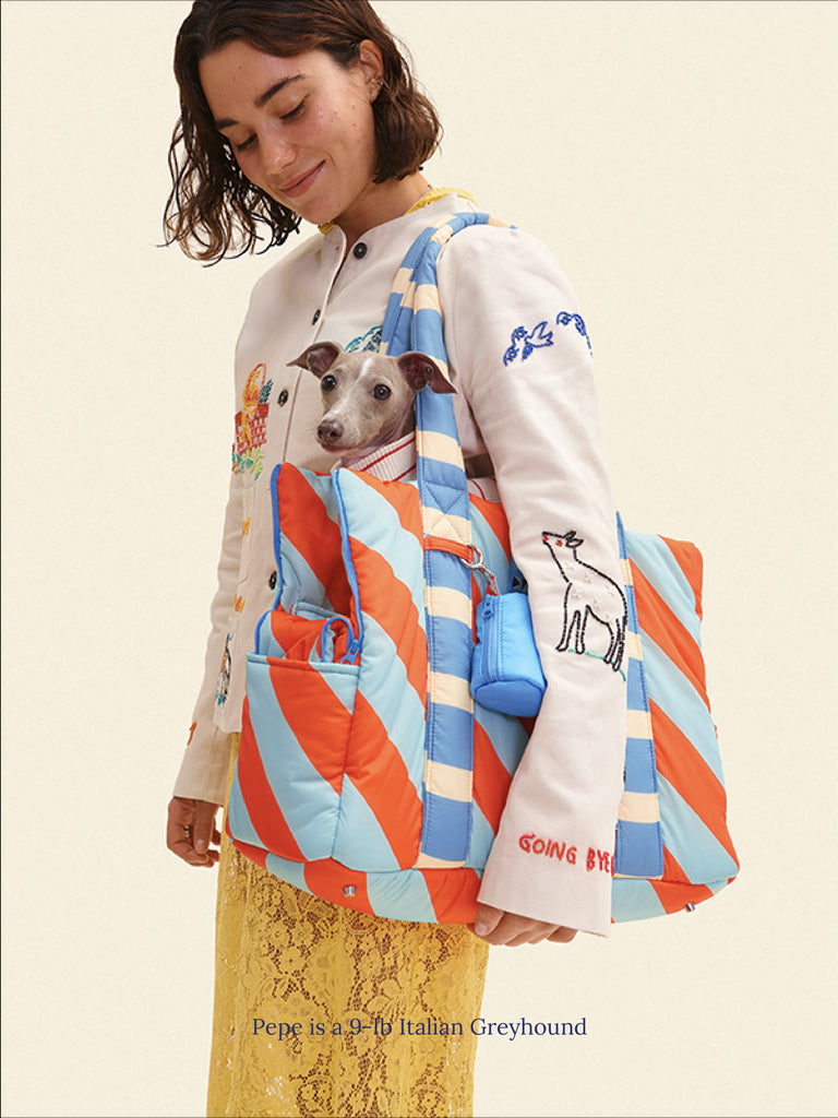 Evermark Factory Dog Carrier ONE SIZE The Orange Peel Carrier - Dusen Dusen