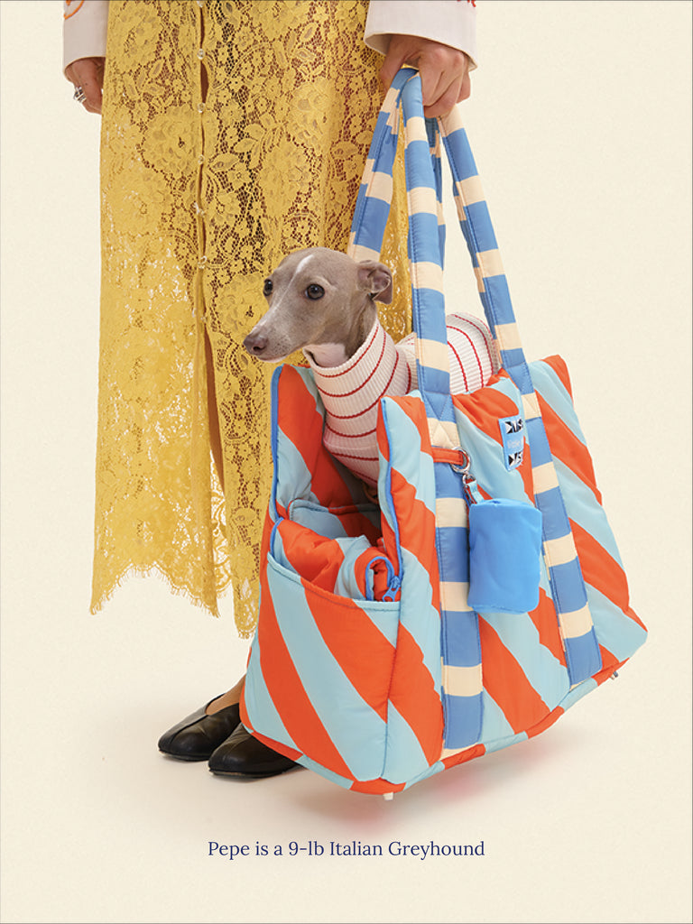 Evermark Factory Dog Carrier ONE SIZE The Orange Peel Carrier - Dusen Dusen