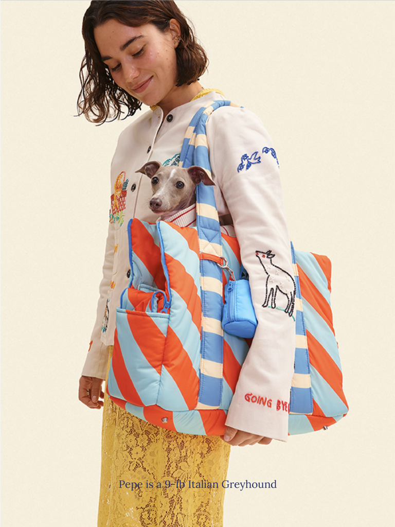 Evermark Factory Dog Carrier The Orange Peel Carrier - Dusen Dusen