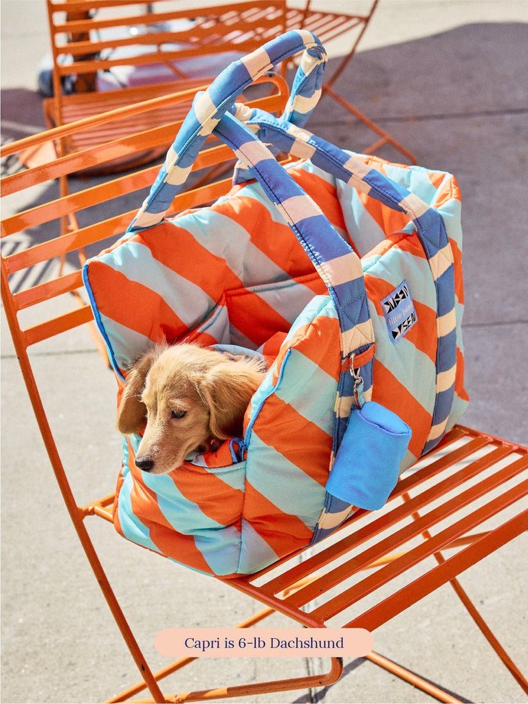 Evermark Factory Dog Carrier The Orange Peel Carrier - Dusen Dusen