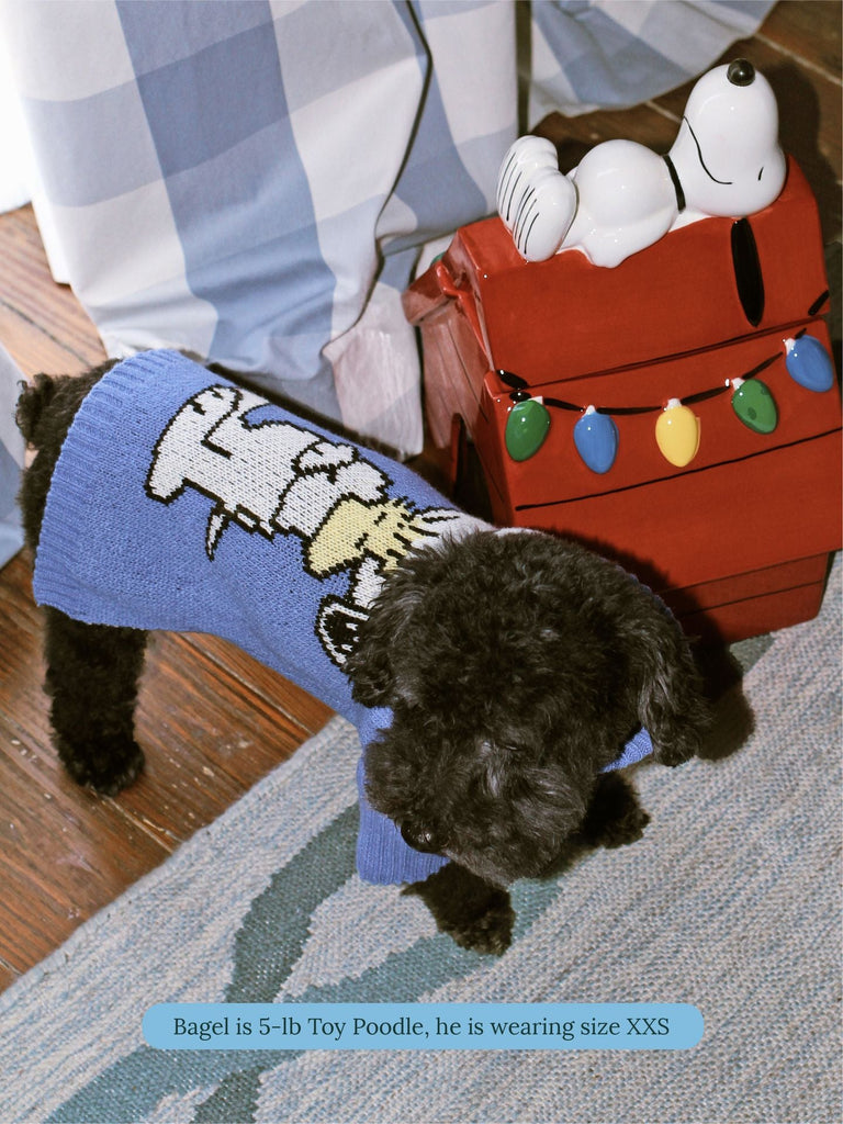 Little Beast Dog Sweater A Snoopy Sweater