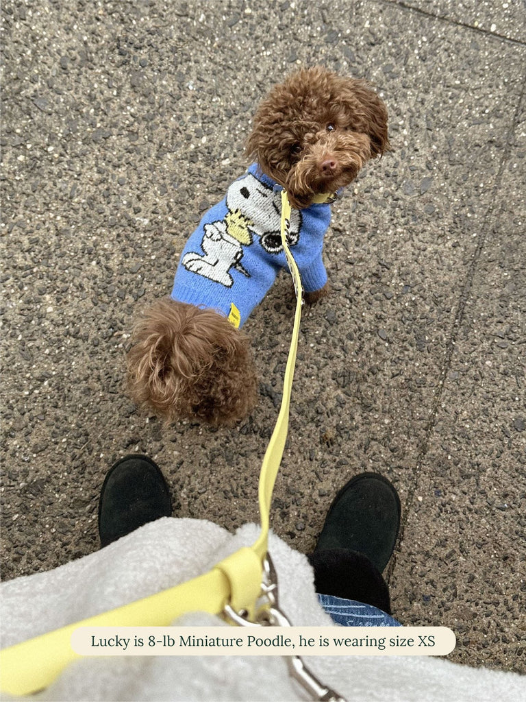 Little Beast Dog Sweater A Snoopy Sweater - PEANUTS