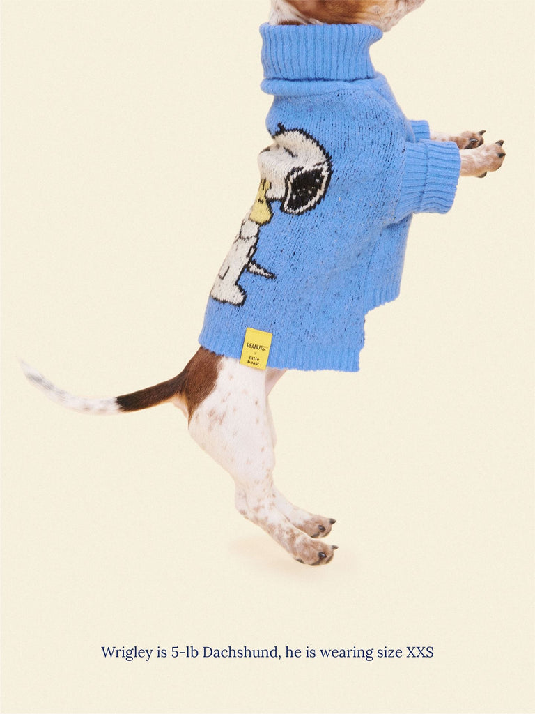 Little Beast Dog Sweater A Snoopy Sweater - PEANUTS