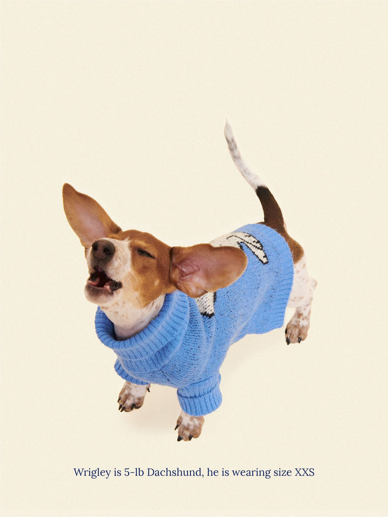 Little Beast Dog Sweater A Snoopy Sweater - PEANUTS