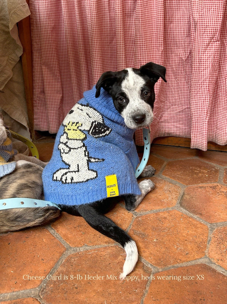 Little Beast Dog Sweater A Snoopy Sweater - PEANUTS