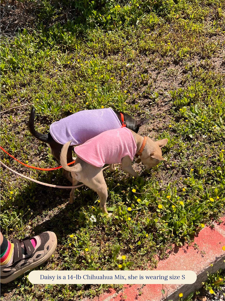 Little Beast Dog Sleeveless Shirt ADEDAS Sleeveless Shirt - Pink