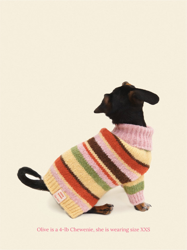 Little Beast Dog Sweater Alaia Polo Sweater x Lisa Says Gah