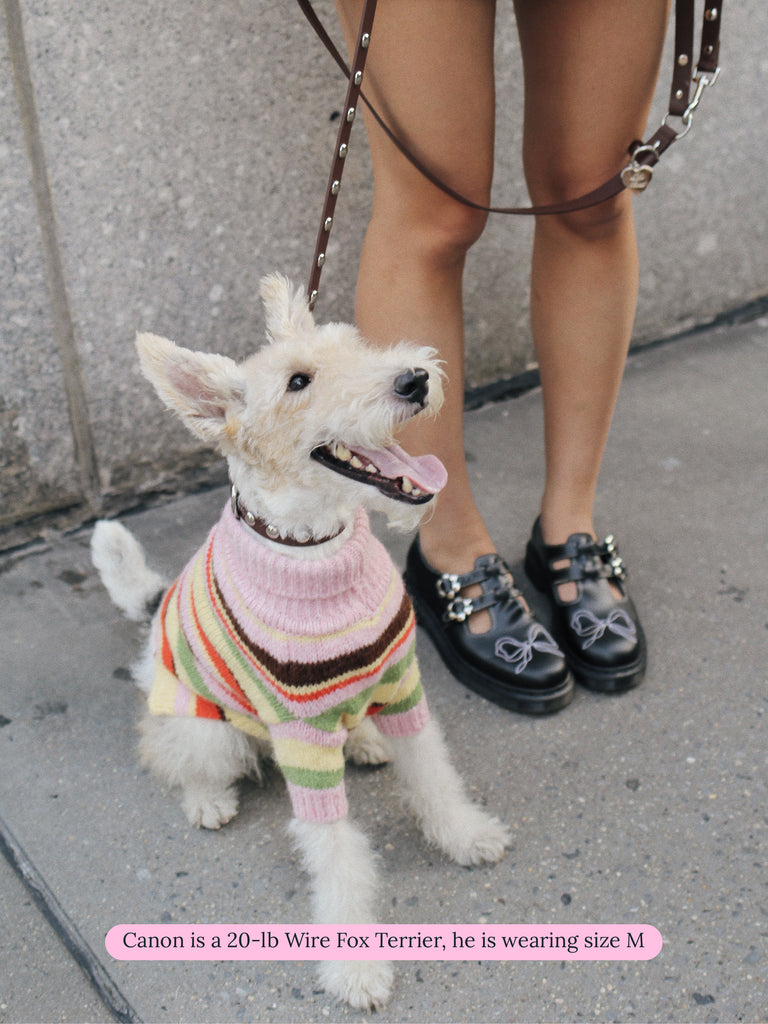 Little Beast Dog Sweater Alaia Polo Sweater x Lisa Says Gah