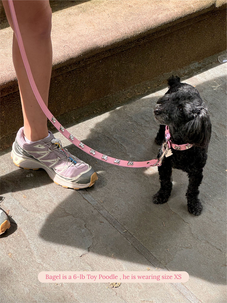 Little Beast Dog Collar AUDREY Collar - Ian Charms