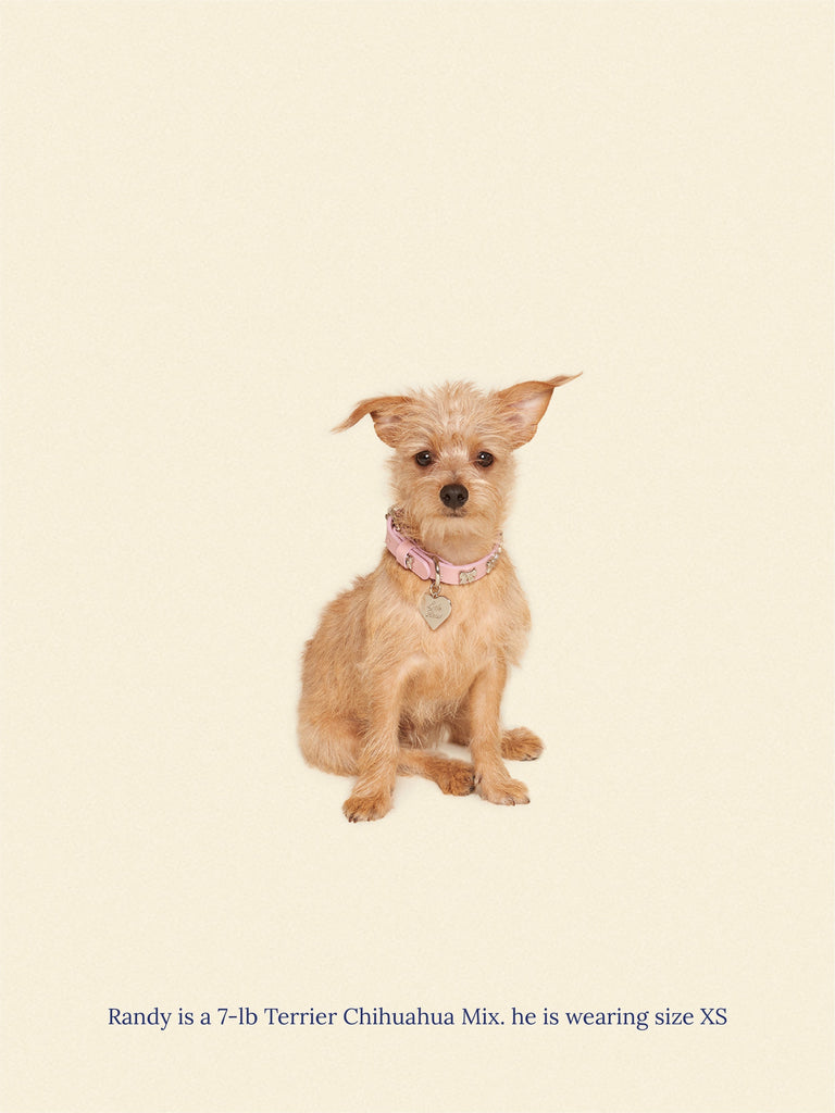 Little Beast Dog Collar Audrey Collar 🎀 - Ian Charms X Little Beast