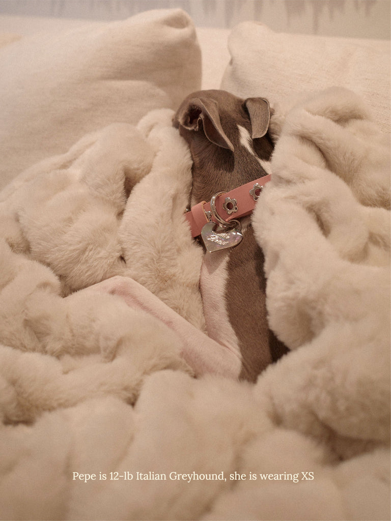 Little Beast Dog Collar Audrey - Flower Power Collar