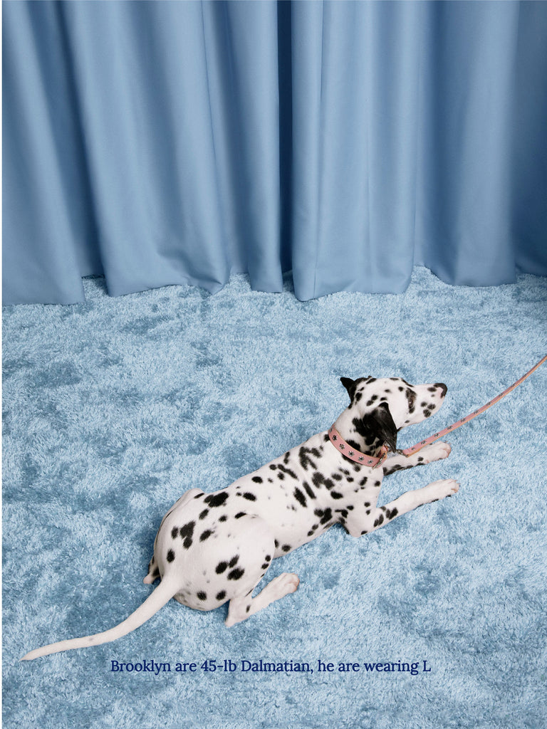 Little Beast Dog Collar Audrey - Flower Power Collar