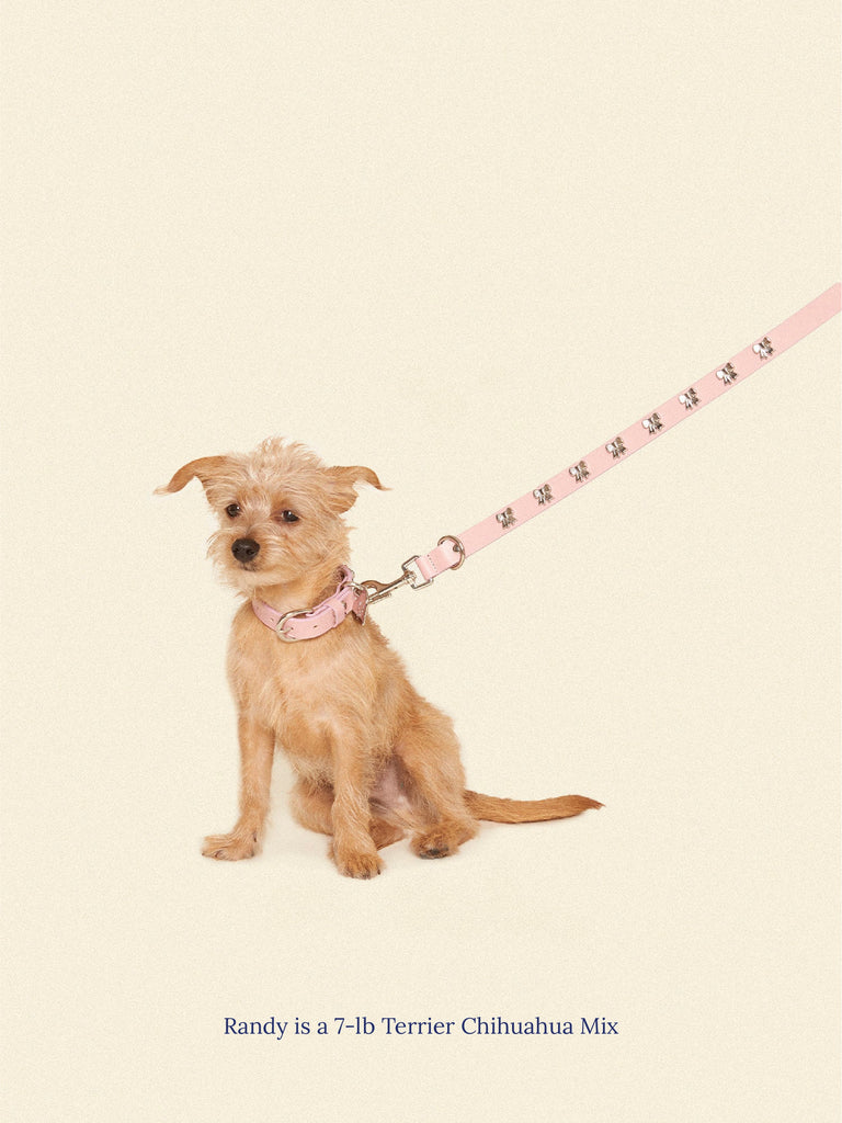 Little Beast Dog Leash One Size Audrey Leash 🎀 - Ian Charms X Little Beast