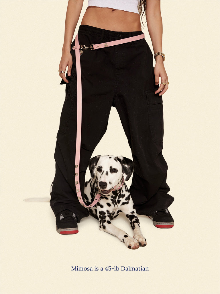 Little Beast Dog Leash One Size Audrey Leash 🎀 - Ian Charms X Little Beast
