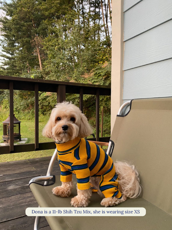 Little Beast Dog Stripe Onesie Back to School Onesie
