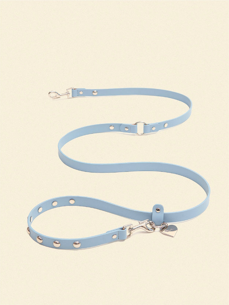 Little Beast Dog Leash ONESIZE Blue Leash x Lisa Says Gah