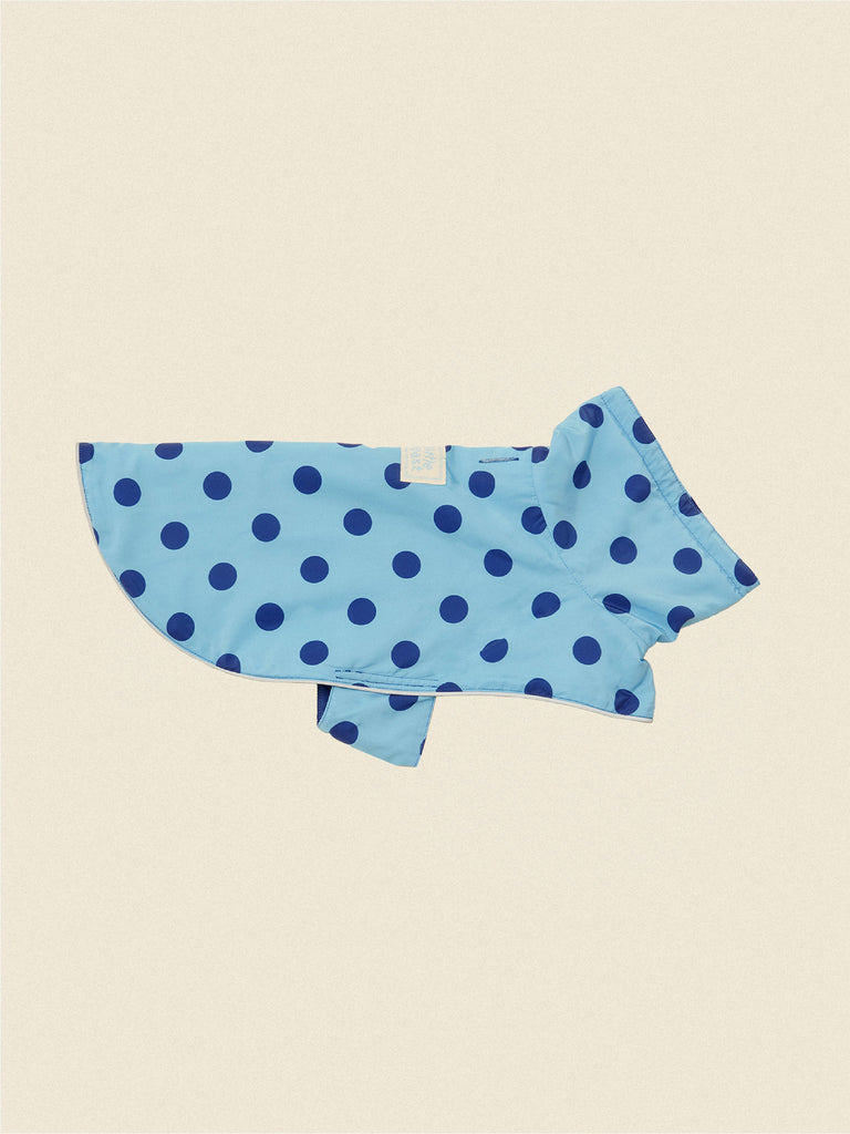 The Blue Dot Raincoat