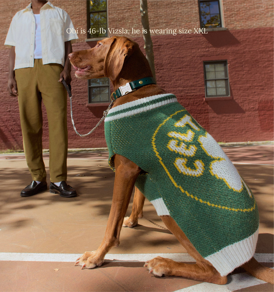 Little Beast Dog Sweater Boston Celtics Dog Sweater - NBA