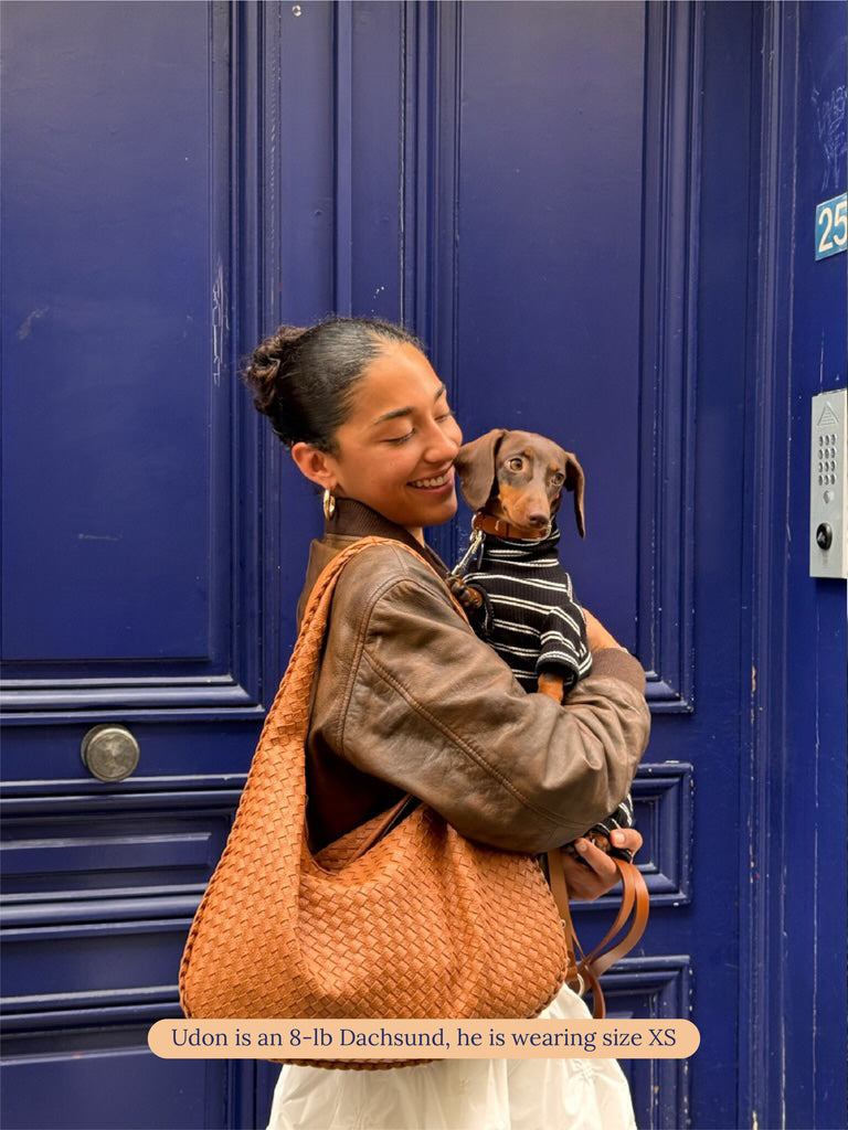 Little Beast Dog Stripe Onesie Café in Paris Onesie
