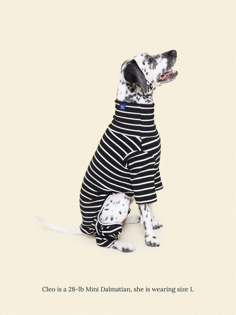 Little Beast Dog Stripe Onesie Café in Paris Onesie