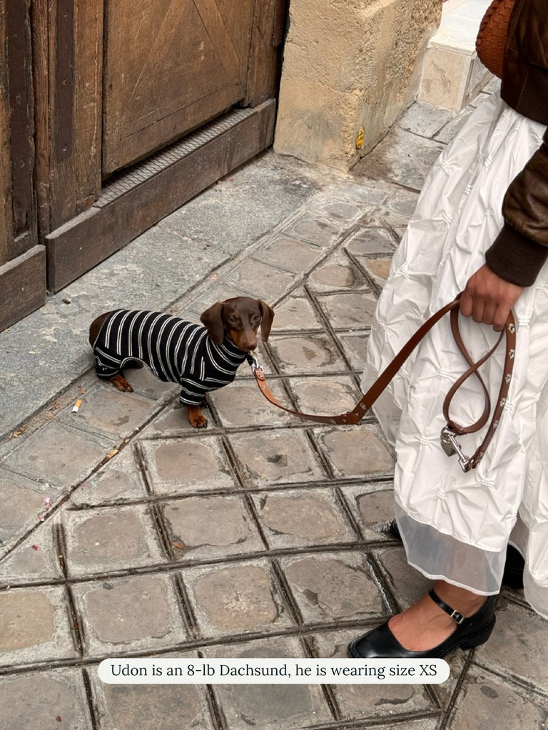 Little Beast Dog Stripe Onesie Café in Paris Onesie