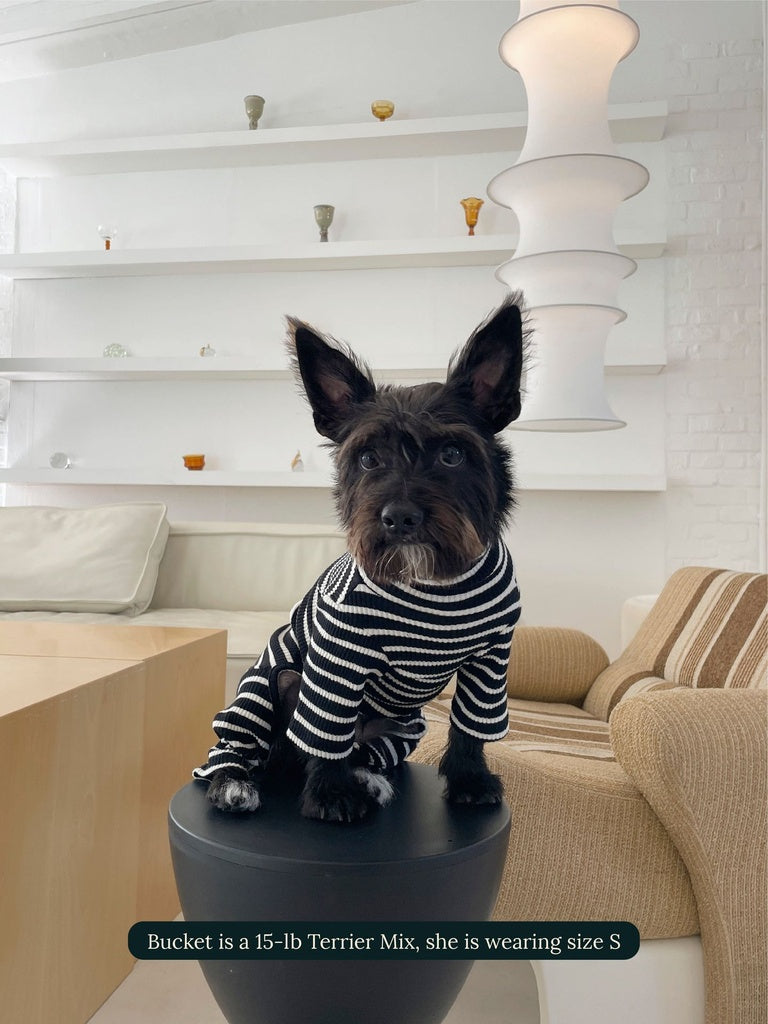 Little Beast Dog Stripe Onesie Café in Paris Onesie