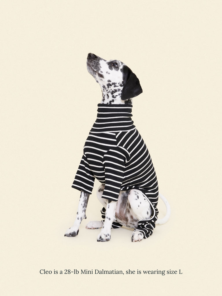 Little Beast Dog Stripe Onesie Café in Paris Onesie