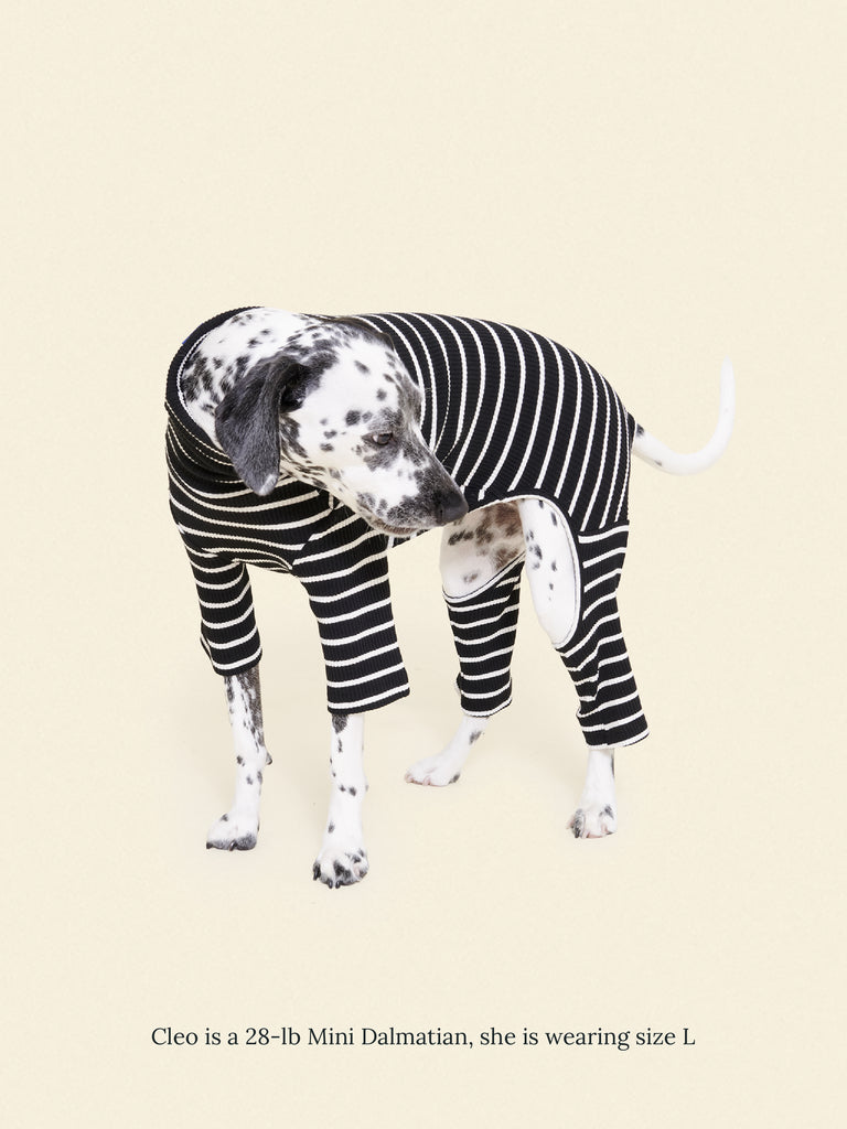 Little Beast Dog Stripe Onesie Café in Paris Onesie